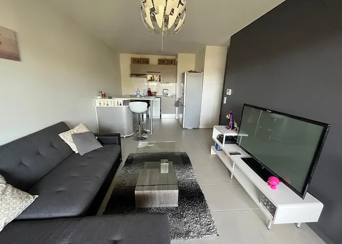 T2 Design Dans Neuve * Billere